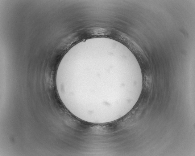 X0000115030422200911161510