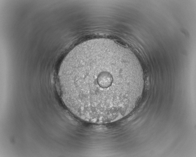 X0000115030424200911161510