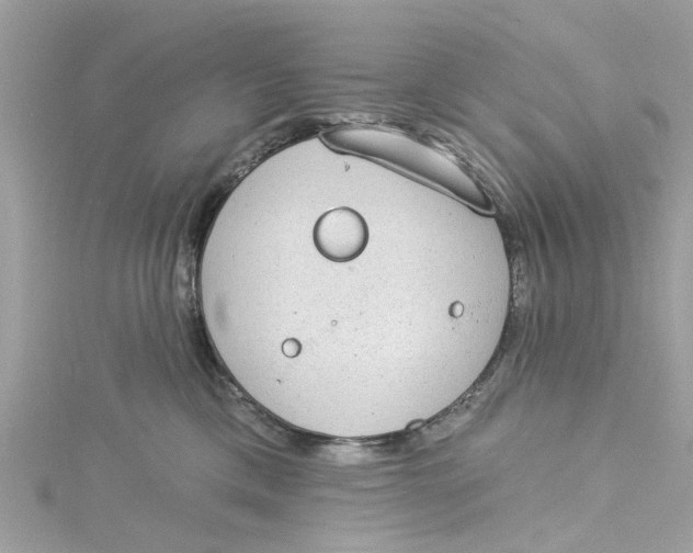 X0000115030425200911161510