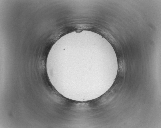 X0000115030426200911161510