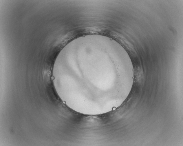 X0000115030427200911161510