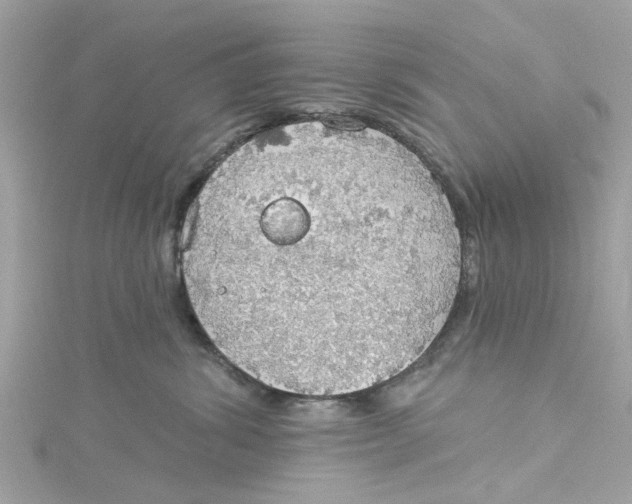 X0000115030428200911161510