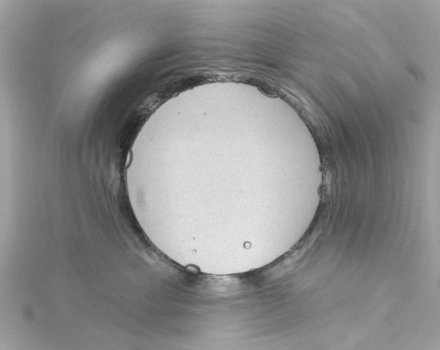 X0000115030429200911161510