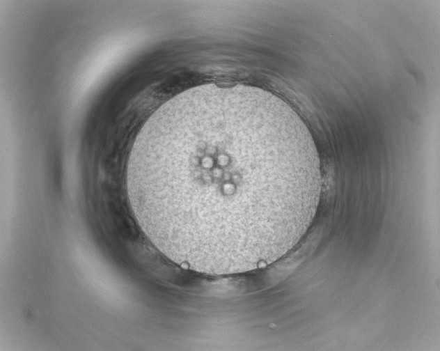 X0000115030430200911161510