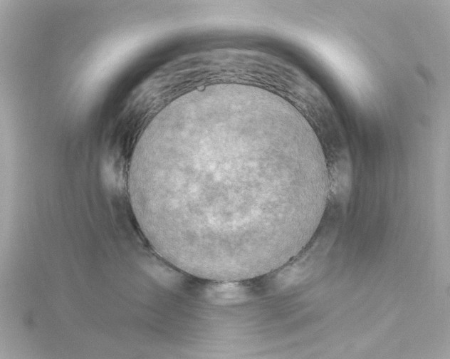 X0000115030431200911161510