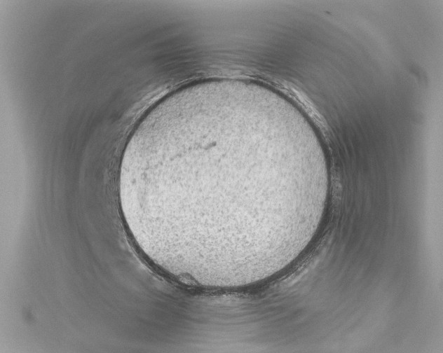 X0000115030433200911161510