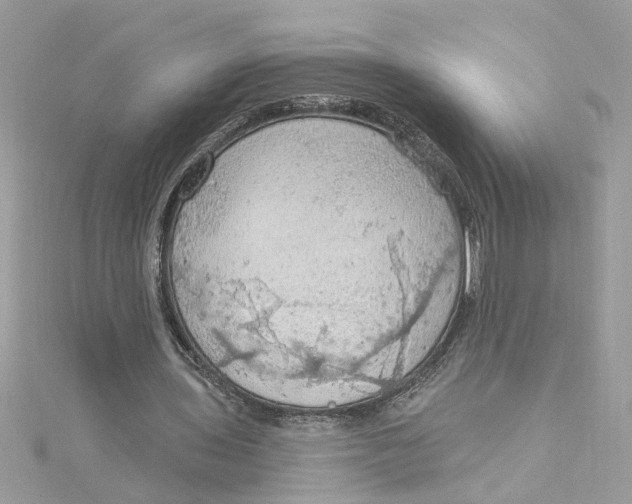 X0000115030435200911161510