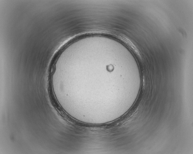 X0000115030436200911161510