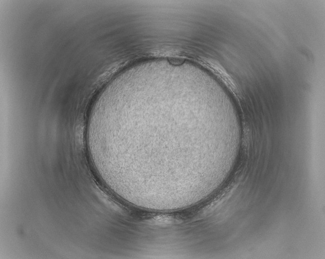 X0000115030441200911161510