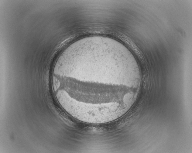 X0000115030442200911161510