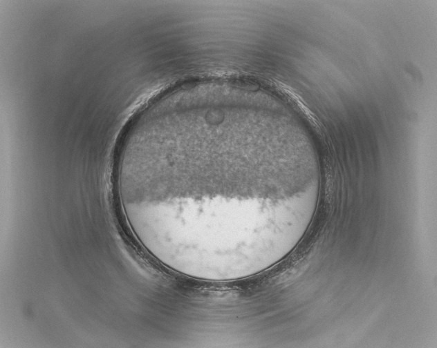 X0000115030443200911161510