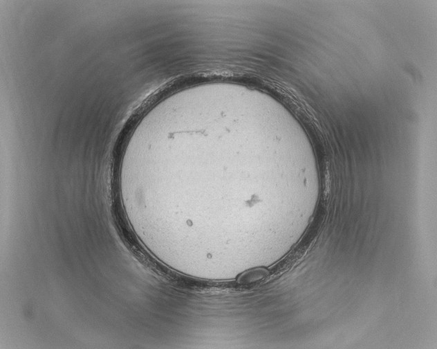 X0000115030444200911161510