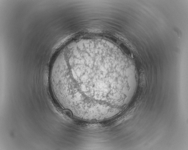 X0000115030446200911161510