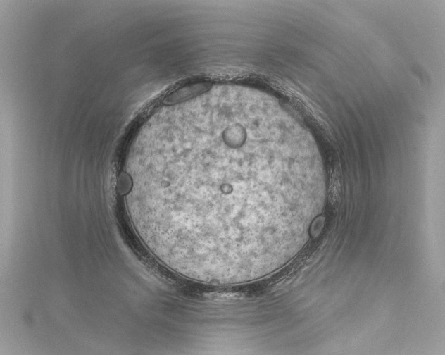 X0000115030448200911161510