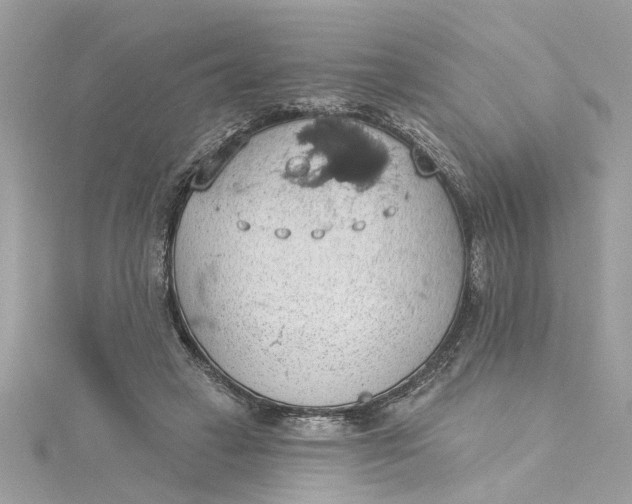 X0000115030449200911161510