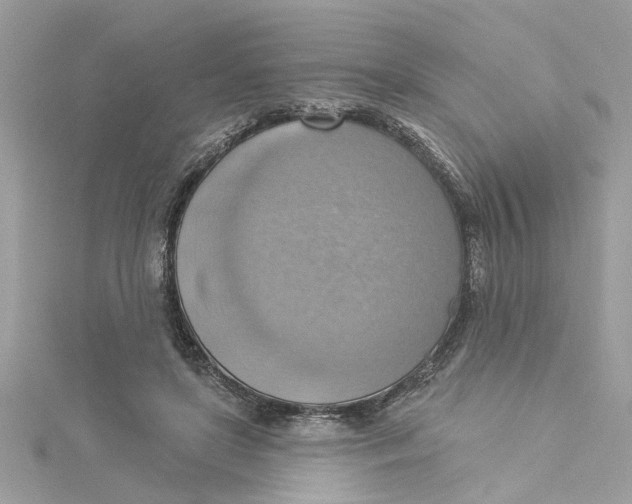 X0000115030451200911161510