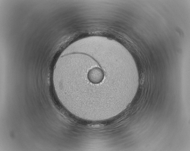 X0000115030452200911161510