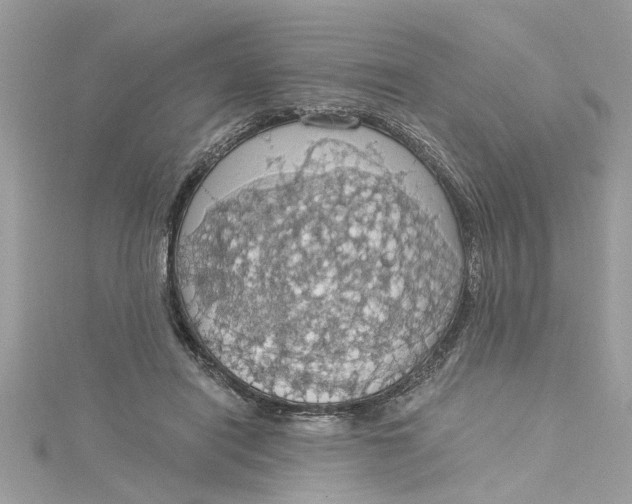 X0000115030454200911161510