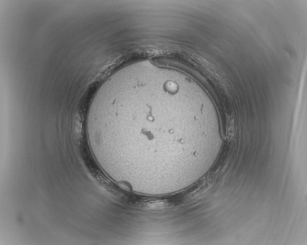 X0000115030456200911161510