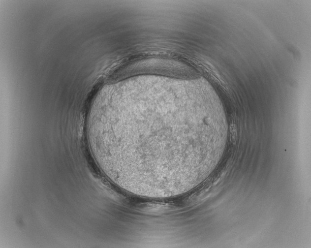 X0000115030458200911161510