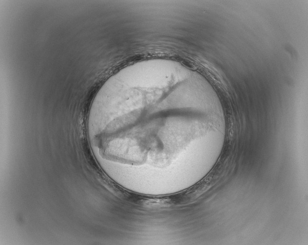 X0000115030465200911161510