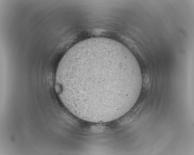 X0000115030470200911161510