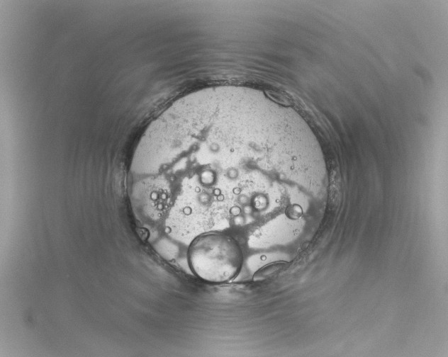 X0000115030474200911161510