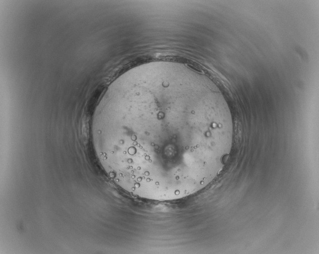 X0000115030475200911161510