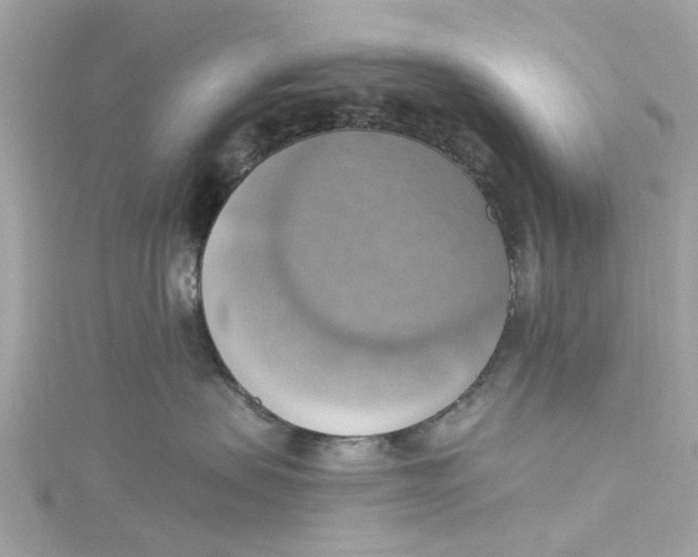 X0000115030479200911161510