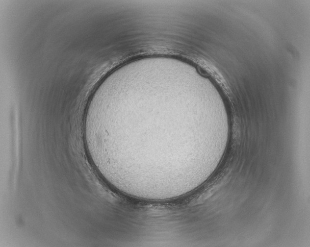 X0000115030481200911161510