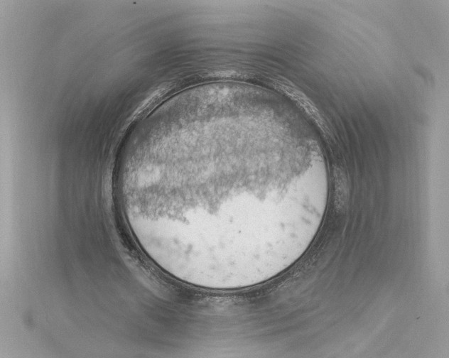 X0000115030482200911161510