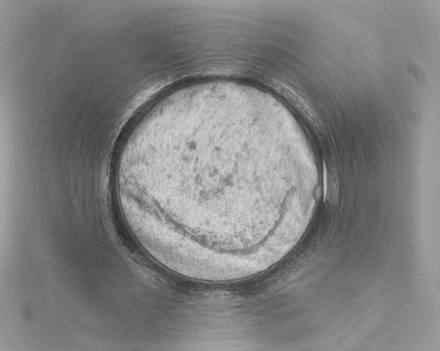 X0000115030483200911161510