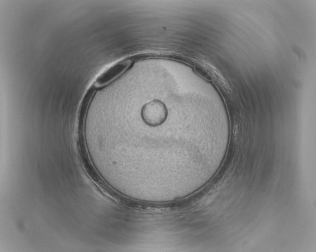 X0000115030484200911161510