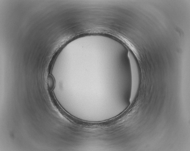 X0000115030485200911161510