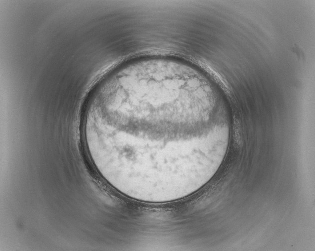 X0000115030486200911161510