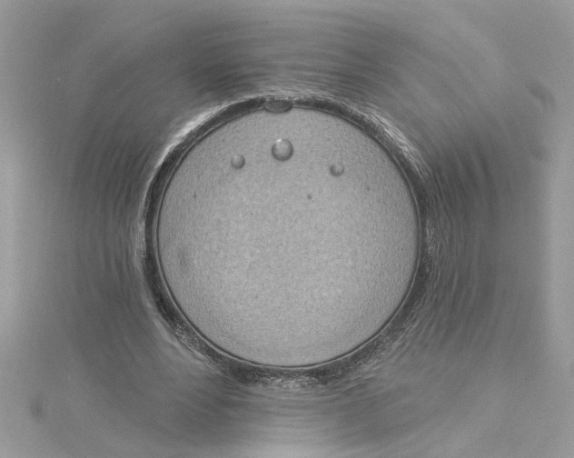 X0000115030488200911161510