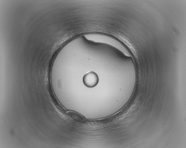 X0000115030489200911161510