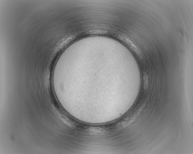 X0000115030490200911161510