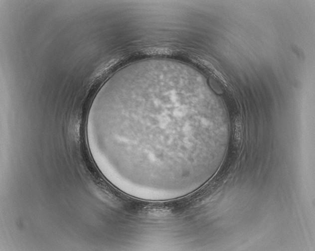 X0000115030491200911161510