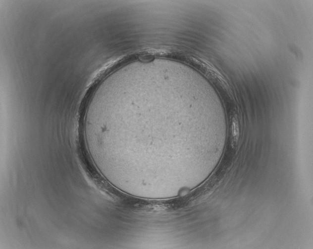 X0000115030492200911161510