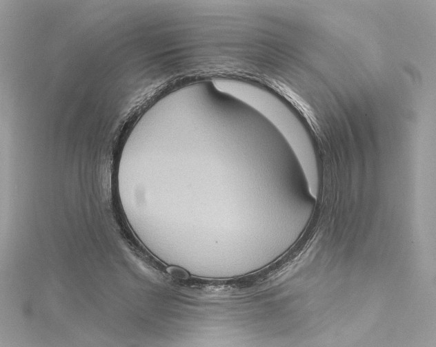 X0000115030493200911161510