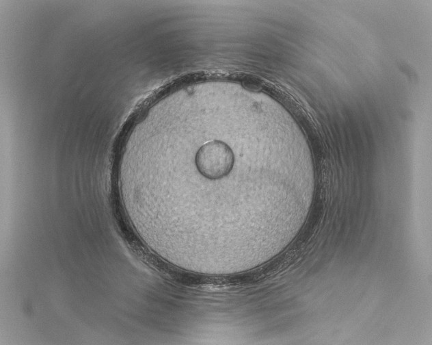 X0000115030496200911161510