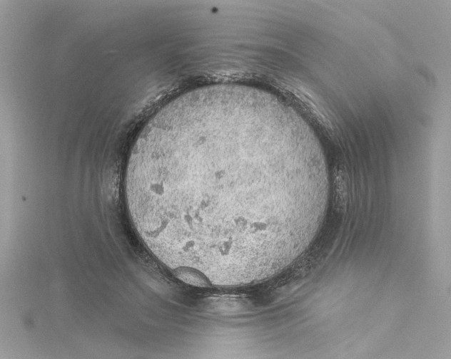 X0000115030499200911161509