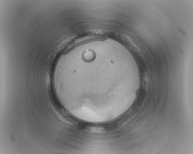 X0000115030500200911161509