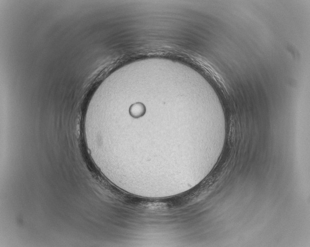 X0000115030501200911161509