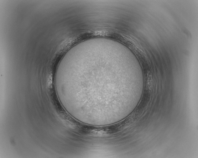 X0000115030502200911161509