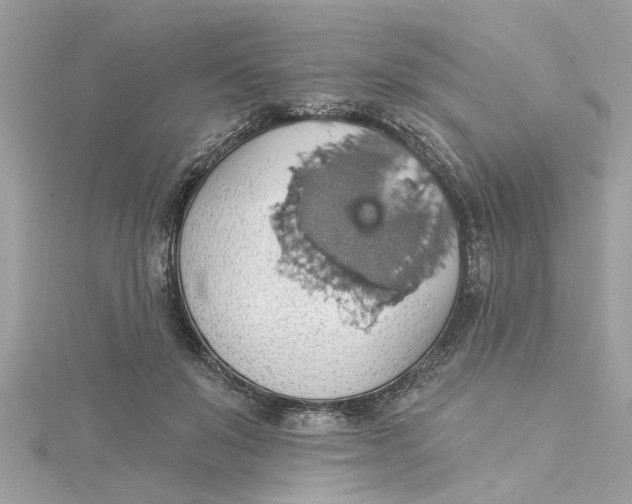 X0000115030503200911161509