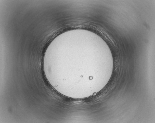 X0000115030505200911161509