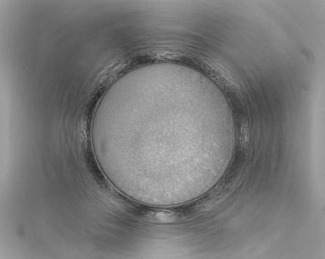 X0000115030506200911161509