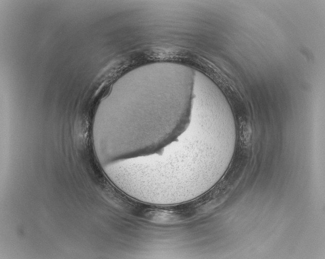 X0000115030507200911161509